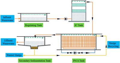 Partition of Anammox and Nitrifiers Through Bio-Carriers for Full-Scale Sidestream Partial Nitrification–Anammox Plant